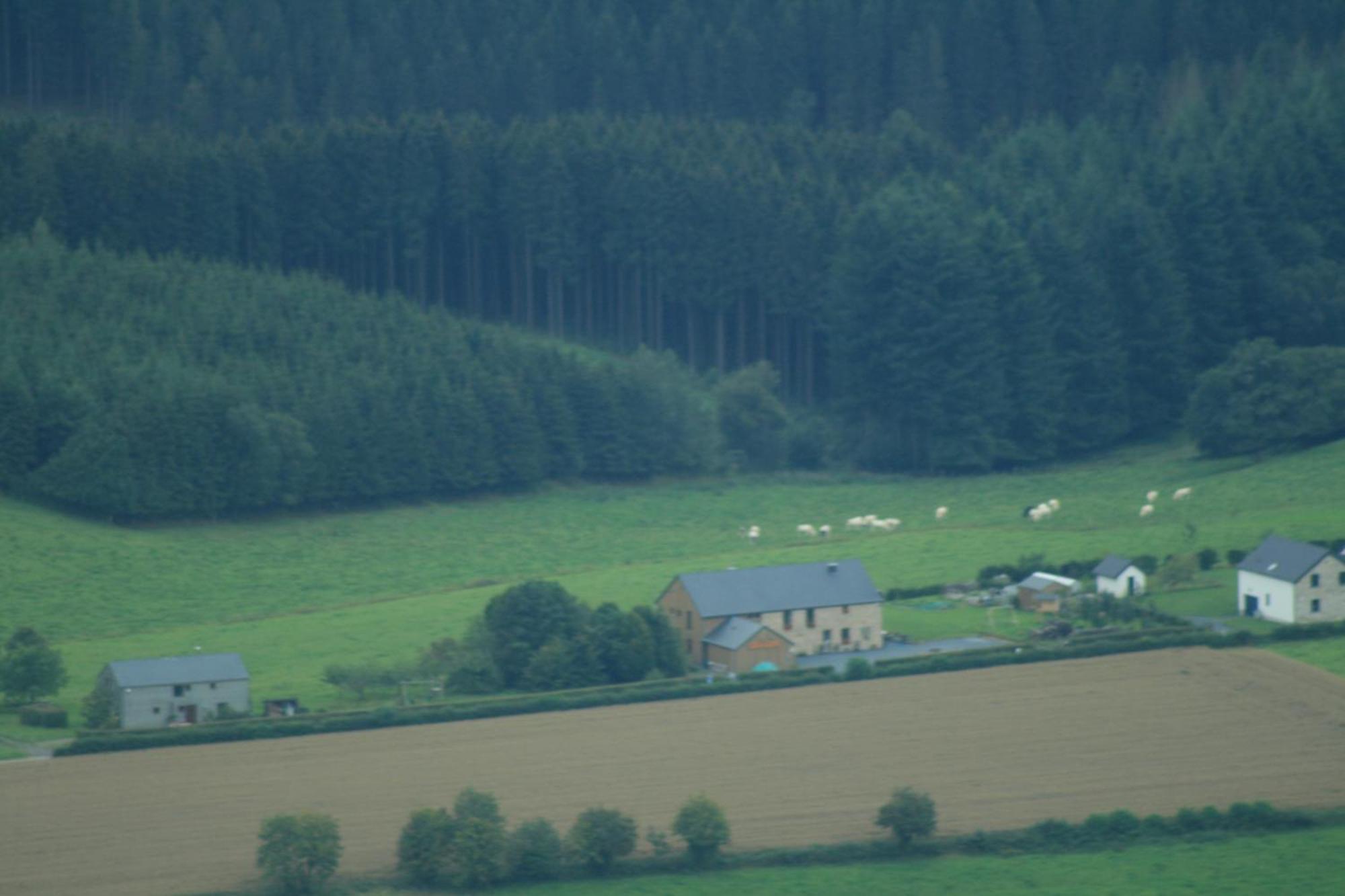 Chambres D'Hotes Les Trappeurs Silence & Nature Tenneville Exterior photo